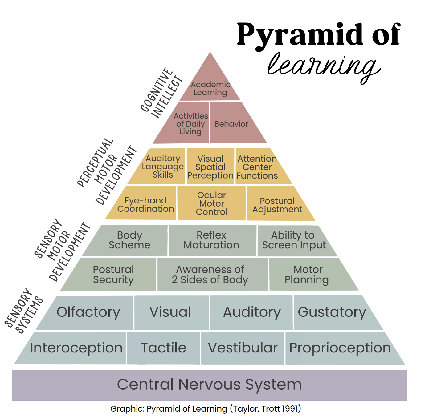 Keep Moving:  How movement feeds the brain!