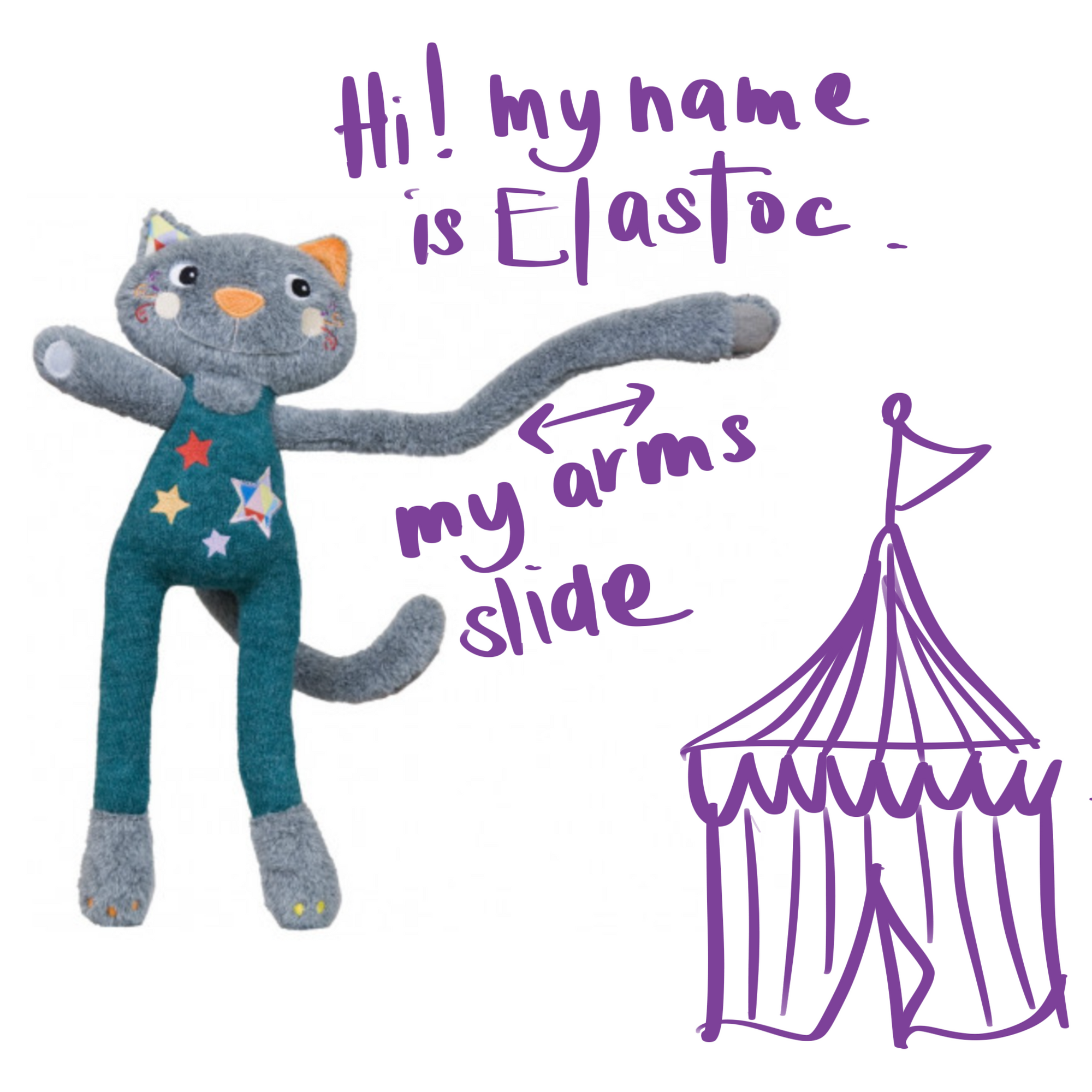 Ebulobo Elastoc the acrobat cat
