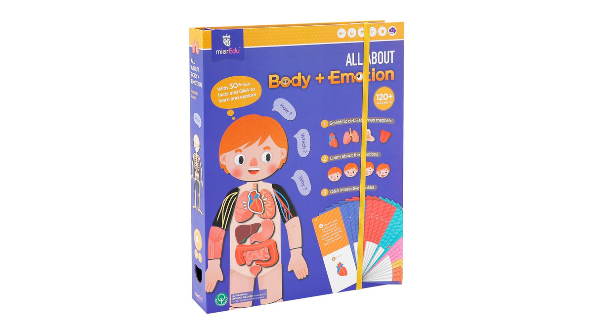 mierEdu body + emotion magnetic puzzle
